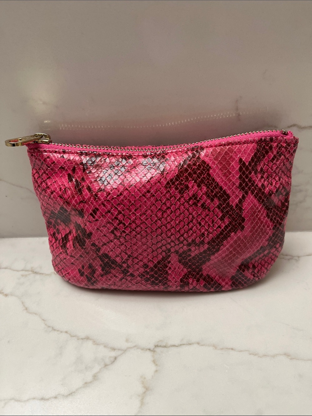 Ann Taylor Animal Print Cosmetic Bag